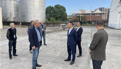 向诚调研督导国丰粮油公司沉点项目建设工作