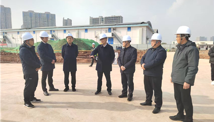 集团辅导深刻项目现场发展廉政发言