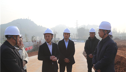 向诚督导调研集团沉大项目建设和“项目通”利用工作