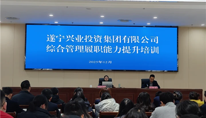 z6com官网发展综合治理履职能力提升培训