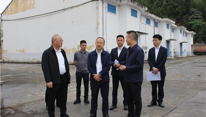 市国资委调研督导z6com官网集团经营治理工作