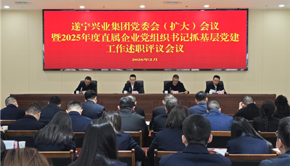遂宁z6com官网集团召开党委会（扩大）会议暨2025年度直属企业党组织书记抓基层党建工作述职评议会议